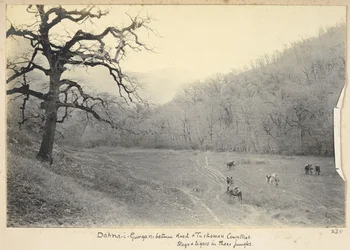 Razavi Khorasan Province, Iran, c.1908 (b/w photo)