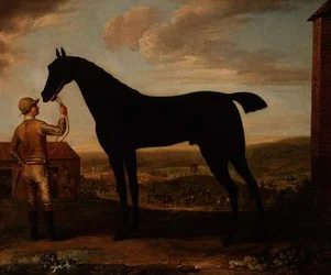 "Basto", Dark Bay Racehorse Held by Groom Outside the Stable at Newmarket