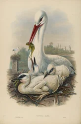 Unknown Image