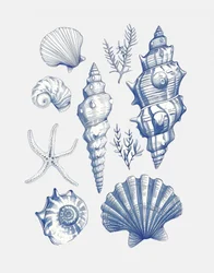 Blue Nautical Shells