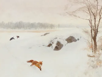 Red Fox Winter Pursuit
