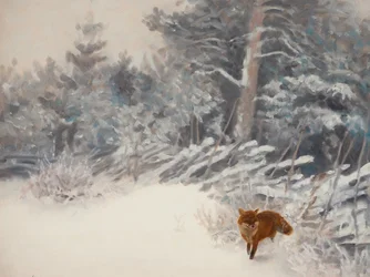 Winter Forest Fox