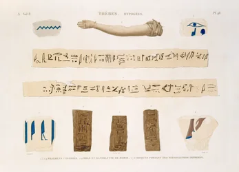 Illustrations of Hieroglyphics and the arm of a mummy from Hypogees, Thebes, plate 48 from Vol II of `Descriptions of Egypt`, engraved by Charles, 1822
