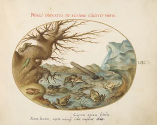 Plate 54: Frogs in a Landscape
