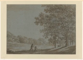 Walkers on a Road Along Tall Trees