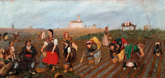 The Saffron Collect (Detail)