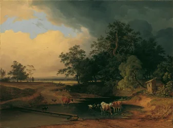 Floodplain Landscape at Evening Mood