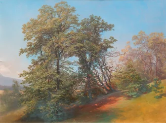 Group of Trees on the Mönchsberg in Salzburg