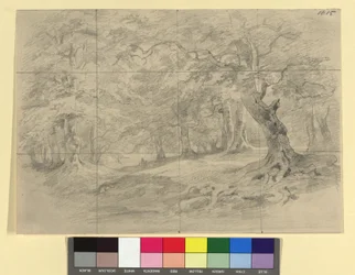 Forest landscape with staffage figures