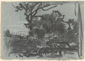 Forest Scene