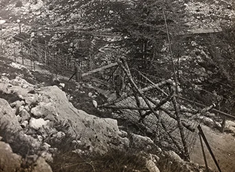 Barbed wire (b/w photo)