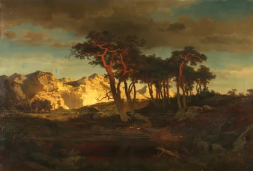Scots Pines