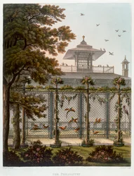 The Pheasantry, 1808