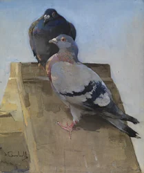 Pigeons on the Roof