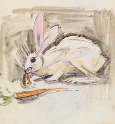 Rabbit