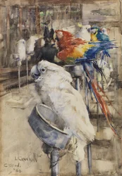The Aviary, Clifton