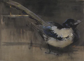 The Magpie