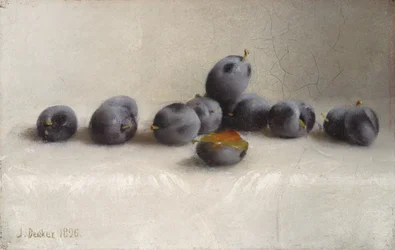 Twelve Plums