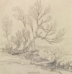 Footbridge Over a Stream Near a Willow Tree
