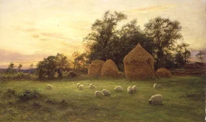 Evening