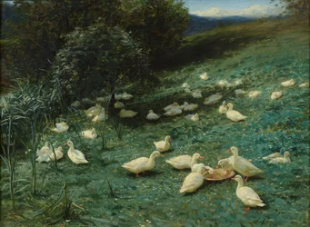 In the Warmth of Summer Days