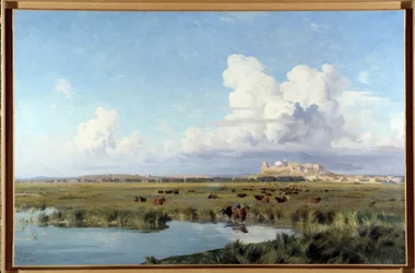 Landscape of Camargue