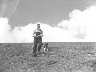 A Man and His Sheepdog Walking in Martindale
