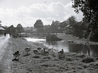 A view of a stream with a bridge, geese in the foreground, buildings and a church in the background