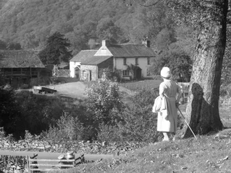 A woman stands next to a tree with her back to the camera looking out towards Yew Tree Farm