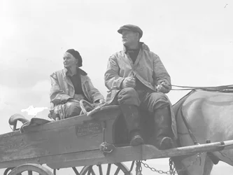 Husband and wife sitting on cockling cart