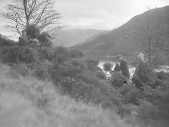 Men working amongst felled Christmas trees at Thirlmere