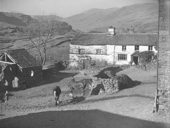 Three young boys watching horses in farmyard at Kentmere with farmhouse and hills behind