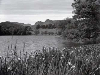 View across Loughrigg Tarn