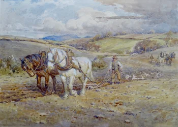 Heavy Horses Ploughing on the Downs