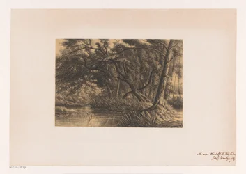 Forest Landscape with Pond