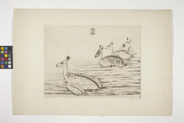 Indochinese Deer I
