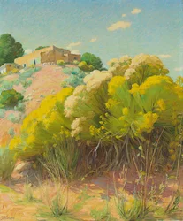Taos Studio