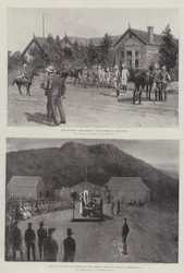 The War in South Africa