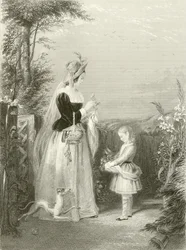 The Flower Garden