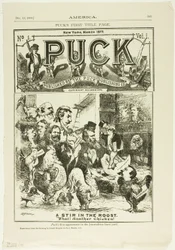 A Stir in the Roost, from America