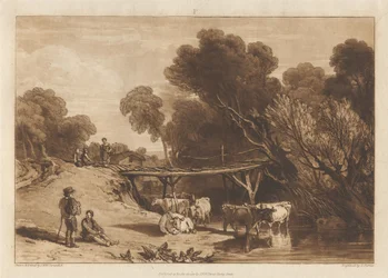 Bridge and Cows