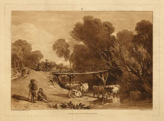 Bridge and Cows