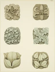 Groin stones in ceiling of St Mary Redcliffe