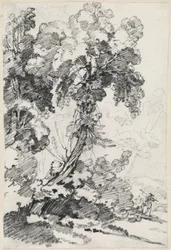 A Towering Tree with Travelers