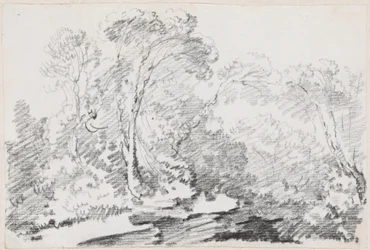 Trees