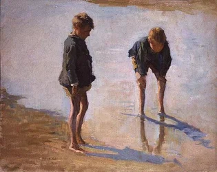 In the Shallows