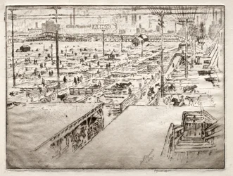 Stockyards, Chicago
