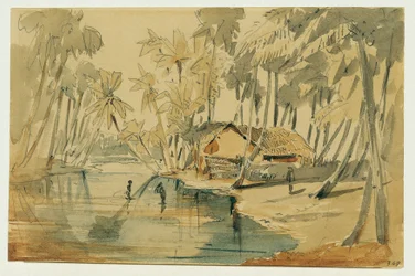 Palm Grove in Ceylon (Sri Lanka)