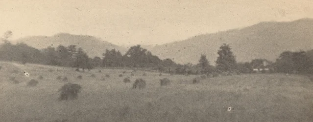 Landscape with trees and mountains, c. 1900