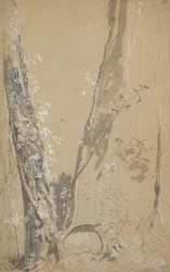 Study of Overgrown Trees, Verso: Study of a Cypress and Two Overgrown Trees